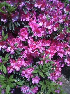 140426_1151~01.jpg