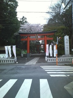 大宮神社.jpg