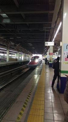 IMAG1752.jpg
